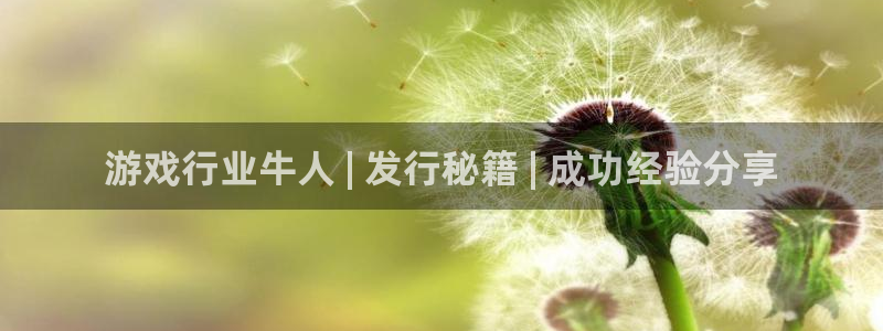顺盈娱乐登录平台下载安装手机版：游戏行业牛人 | 发行秘籍 | 成功经验分享
