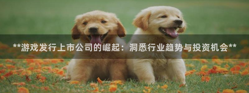 顺盈娱乐母7O777：**游戏发行上市公司的崛起：洞悉行业趋势与投资机会**