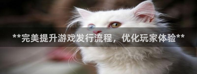 顺盈娱乐平台最新活动信息：**完美提升游戏发行流程，优化玩家体验**