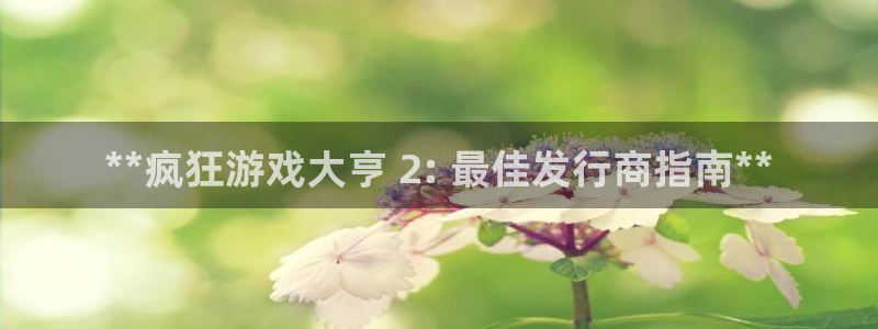 顺盈平台注册：**疯狂游戏大亨 2: 最佳发行商指南**