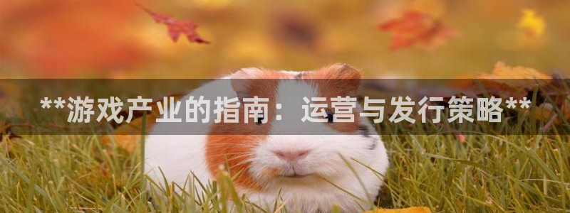 顺赢网络科技有限公司：**游戏产业的指南：运营与发行策略**