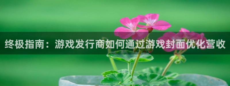 顺盈娱乐公司介绍：终极指南：游戏发行商如何通过游戏封面优化营收