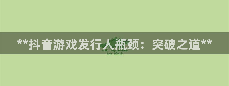 顺盈娱乐公司介绍怎么写啊：**抖音游戏发行人瓶颈：突破之道**
