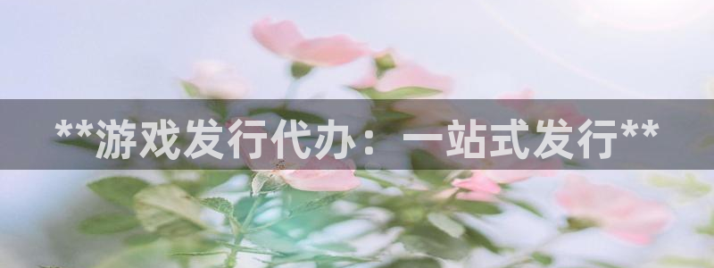 顺盈娱乐平台注册流程图片高清：**游戏发行代办：一站式发行**