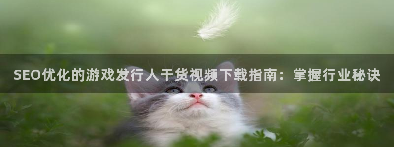 顺盈app是什么东西：SEO优化的游戏发行人干货视频下载指南：掌握行业秘诀