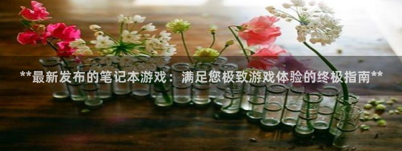 顺盈娱乐平台注册流程图片高清：**最新发布的笔记本游戏：满足您极致游戏体验的终极指南**