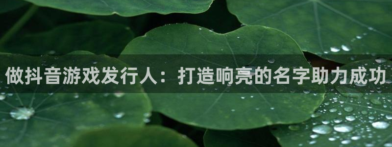 顺盈平台注册资金多少亿：做抖音游戏发行人：打造响亮的名字助力成功