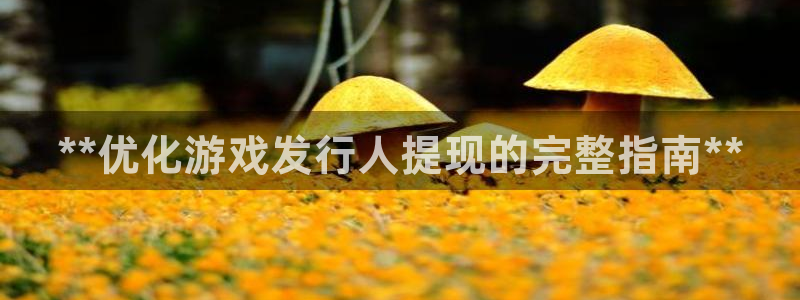 顺盈平台注册网址查询：**优化游戏发行人提现的完整指南**