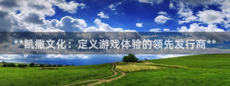 顺盈平台注册资金多少：**凯撒文化：定义游戏体验的领先发行商**