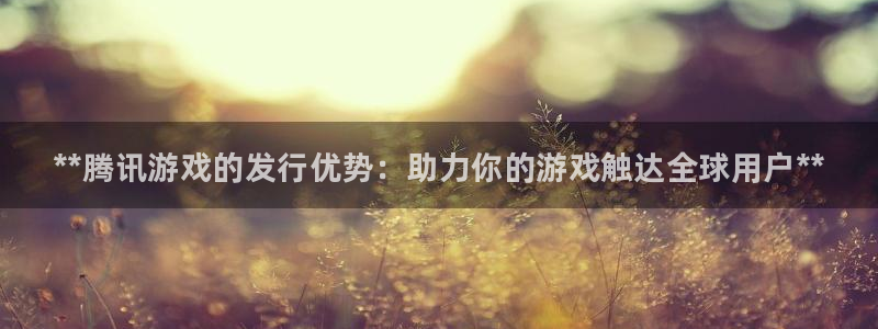 顺盈娱乐用什么加速器可以登录账号和密码：**腾讯游戏的发行优势：助力你的游戏触达全球用户**