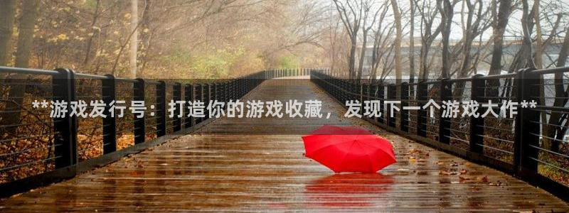 顺盈电子有限公司：**游戏发行号：打造你的游戏收藏，发现下一个游戏大作**