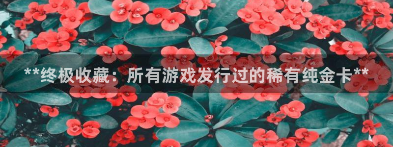 顺盈娱乐公司介绍：**终极收藏：所有游戏发行过的稀有纯金卡**