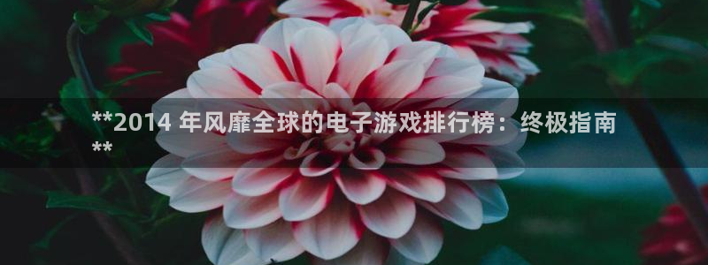 顺盈娱乐用什么加速器可以登录账号呢：**2014 年风靡全球的电子游戏排行榜：终极指南
**
