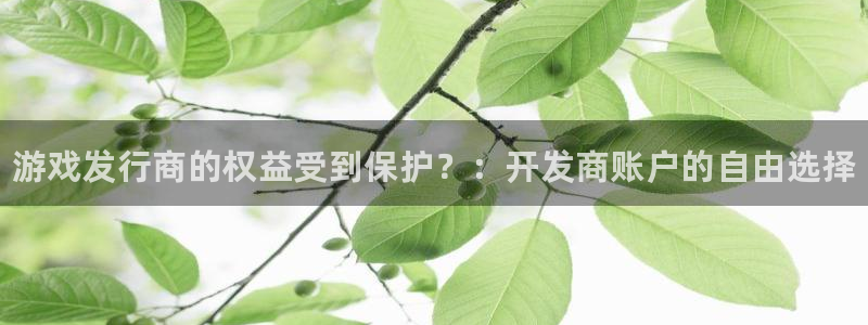 顺盈娱乐平台注册流程视频：游戏发行商的权益受到保护？：开发商账户的自由选择