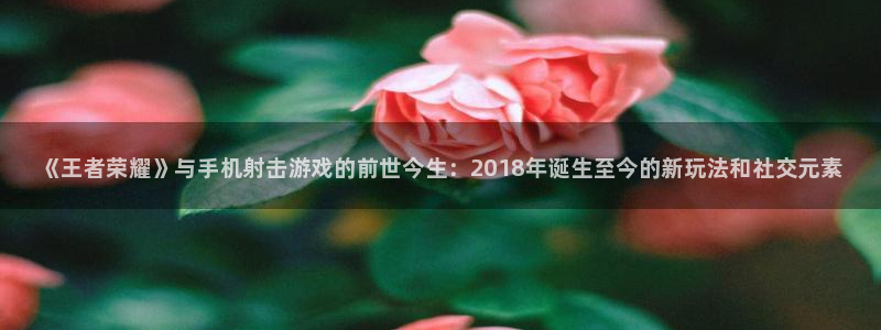 顺盈平台代理：《王者荣耀》与手机射击游戏的前世今生：2018年诞生至今的新玩法和社交元素
