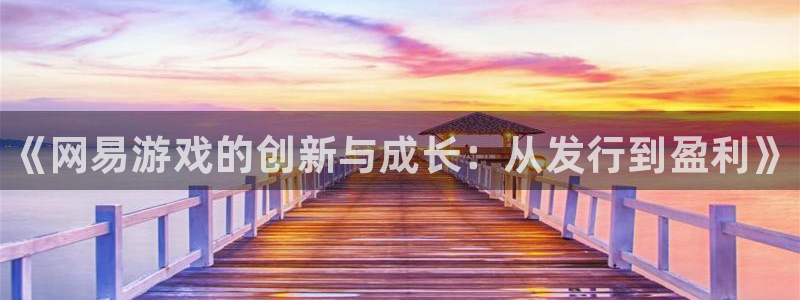 顺赢国际app：《网易游戏的创新与成长：从发行到盈利》