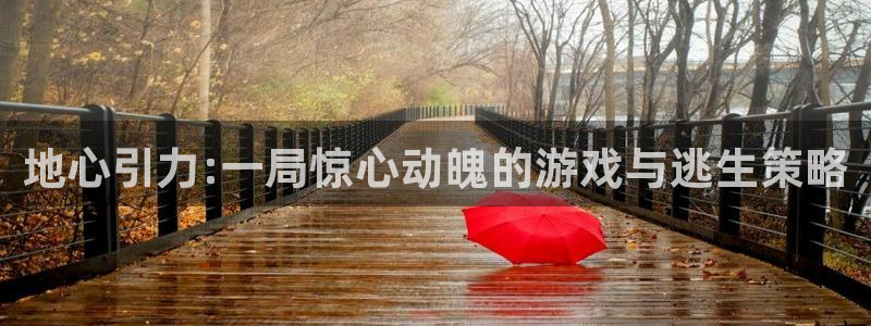 顺盈平台开户：地心引力:一局惊心动魄的游戏与逃生策略