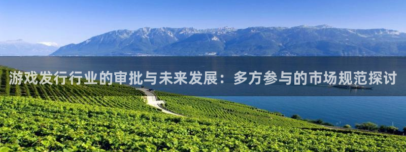 顺盈娱乐主管十7O777：游戏发行行业的审批与未来发展：多方参与的市场规范探讨